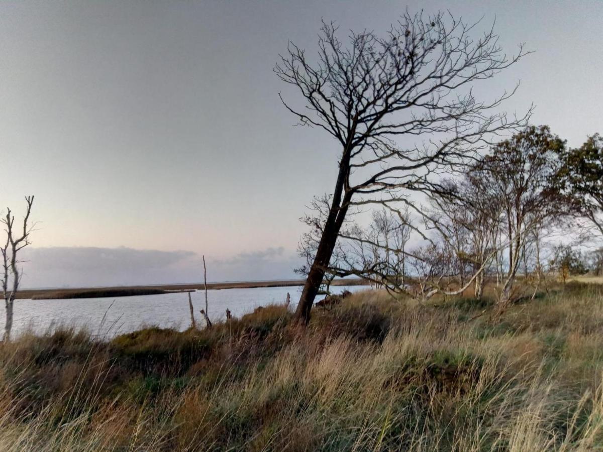 Haus Reihernest Sehestedt  Bagian luar foto